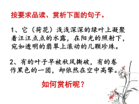 初中中考语文语句赏析专题讲解