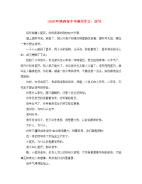陕西省2020年中考语文满分作文 逗号素材（通用）