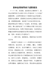 县林业局领导班子的述职报告