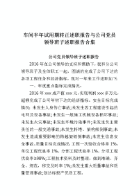 车间半年试用期转正述职报告与公司党员领导班子述职报告合集