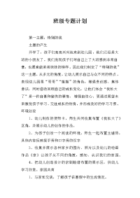 班级专题计划