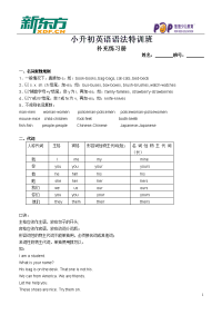 英语复习资料小升初