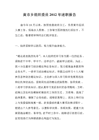 组织委员述职报告