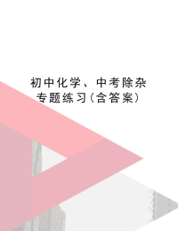 初中化学、中考除杂专题练习(含答案)