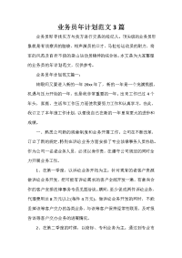 业务员工作计划 业务员工作计划大全 业务员年计划范文3篇