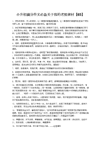 文库精品文档小升初满分作文必备关于我的老师素材【65】.docx