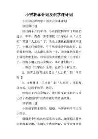 小班教学 计划及识字课计划