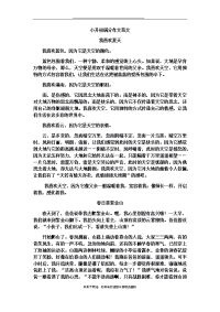 最新小升初满分作文范文.doc