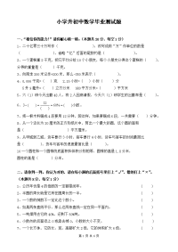 小学升初中数学毕业测试题0