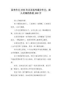 高考作文20XX年北京高考满分作文：深入灵魂的热爱800字.docx