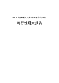 di工艺废渣利用及废水处理清洁生产项目可行性研究报告