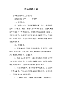 教师研修计划