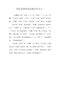 那次玩得真高兴满分作文之一.docx