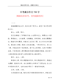 中考满分作文700字(共5页)