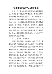 校团委副书记个人的述职报告