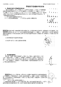 §2  洛伦兹力 带电粒子在磁场中的运动3