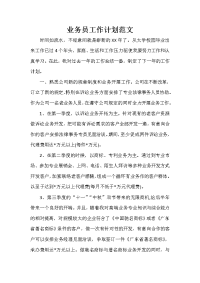 业务员工作计划 业务员工作计划汇总 业务员工作计划范文