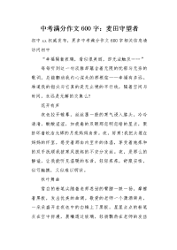 中考满分作文600字：麦田守望者.docx