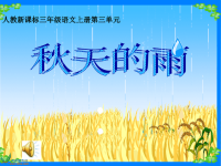 《小学课文秋天的雨》PPT课件