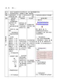 高中篮球精选教案