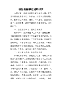 镇党委副书记的述职报告