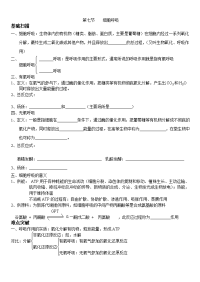 2014年高考生物冲刺查漏补缺全套学案——呼吸作用与代谢类型 人教版