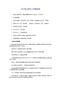 关于作文开头小学版评语