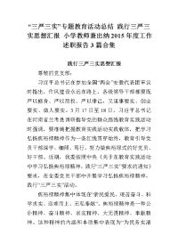 “三严三实”专题教育活动总结践行三严三实思想汇报小学教师兼出纳2015年度工作述职报告3篇合集