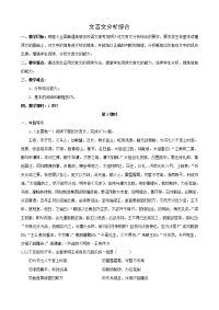 高考语文文言文专题复习教案：文言文分析综合