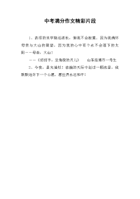 中考满分作文精彩片段.docx