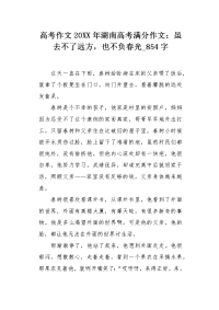 高考作文20XX年湖南高考满分作文：虽去不了远方，也不负春光854字.docx
