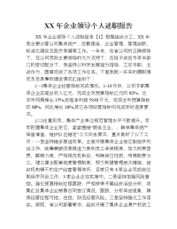 xx年企业领导个人述职报告