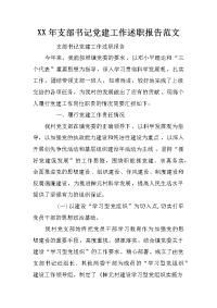 xx年支部书记党建工作述职报告范文_1