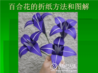 百合花的折纸方法.ppt