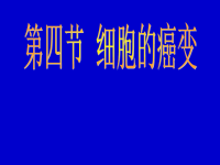 高中生物课件6.4_细胞的癌变课件3