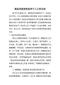 报业系统信息技术个人工作总结