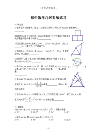 初中几何专项练习(含答案)