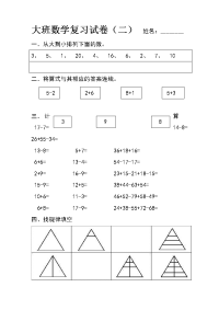 大班数学复习试卷