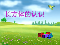 《小学数学《长方体》PPT课件