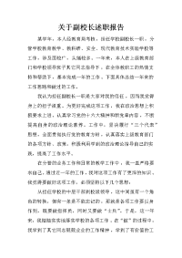 关于副校长述职报告