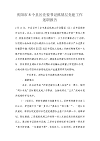 庆阳市8个县区党委书记抓基层党建工作述职报告