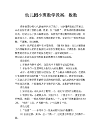 幼儿园小班数学教案：数数