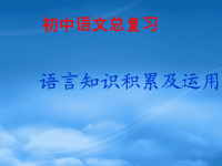 中考语文复习专题课件 语言知识积累及运用