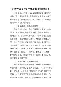 党总支书记某年度抓党建述职报告