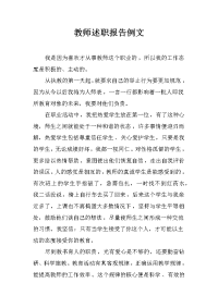 教师述职报告例文