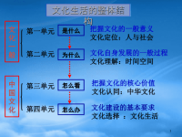 高中政治 文化与社会课件 新人教必修3