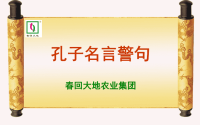 孔子名言警句ppt课件.ppt