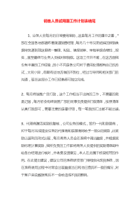 销售人员试用期工作计划表结尾