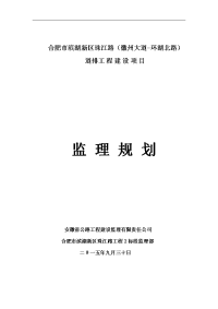 珠江路道排工程建设项目监理规划