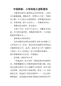 中级职称：小学高级之的述职报告